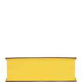 Hermes Kelly Danse Lime Evercolor Palladium Hardware