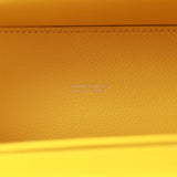 Hermes Kelly Danse Lime Evercolor Palladium Hardware