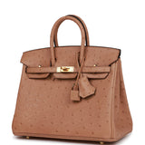 Hermes Birkin 25 Chai Ostrich Gold Hardware
