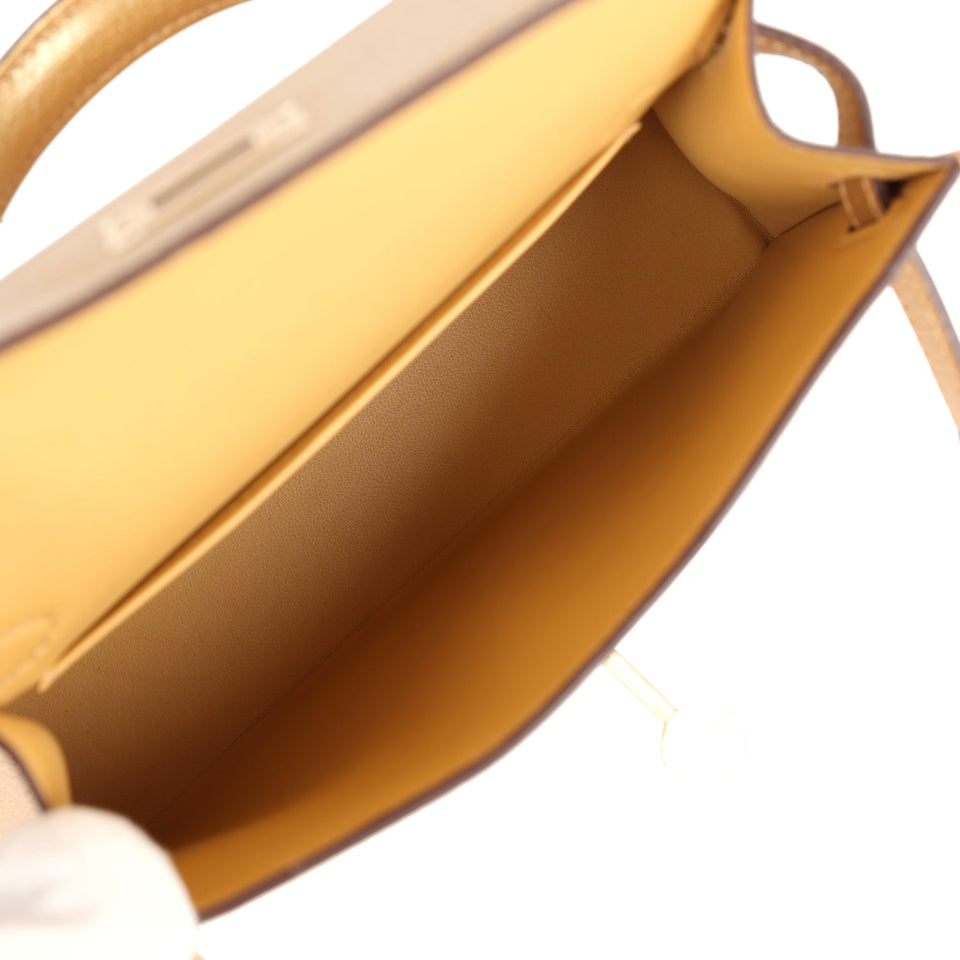 Hermes Kelly Sellier 20 Dore Chevre Chamkilight Permabrass Hardware