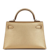 Hermes Kelly Sellier 20 Dore Chevre Chamkilight Permabrass Hardware