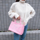 Prada Canapa Mini Canvas 2Way Bag Shoulder Bag Pink 1BG439