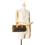 Brown Louis Vuitton Monogram Popincourt Handbag