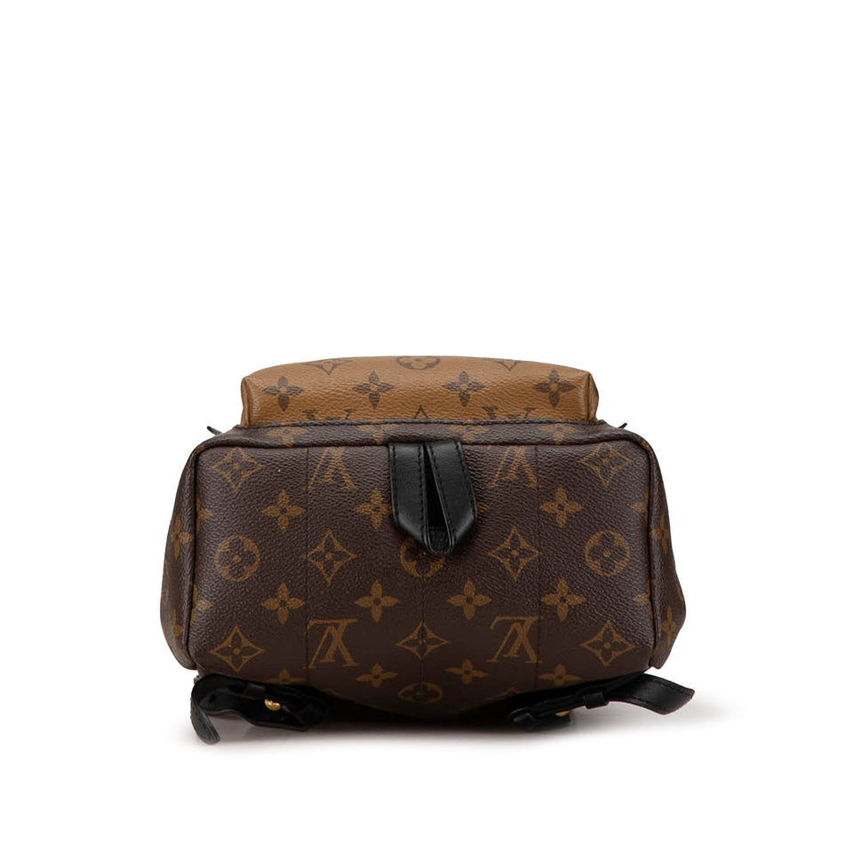 Brown Louis Vuitton Monogram Reverse Palm Springs PM Backpack