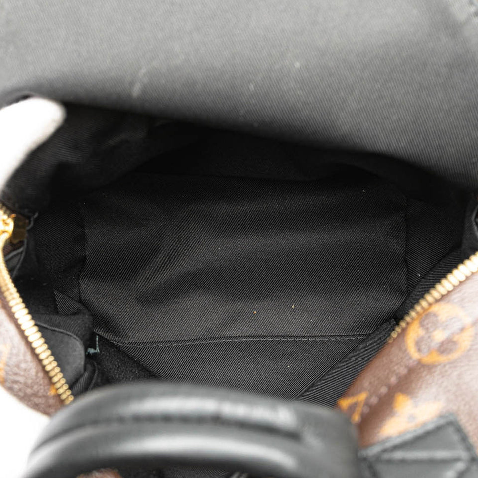 Brown Louis Vuitton Monogram Reverse Palm Springs PM Backpack
