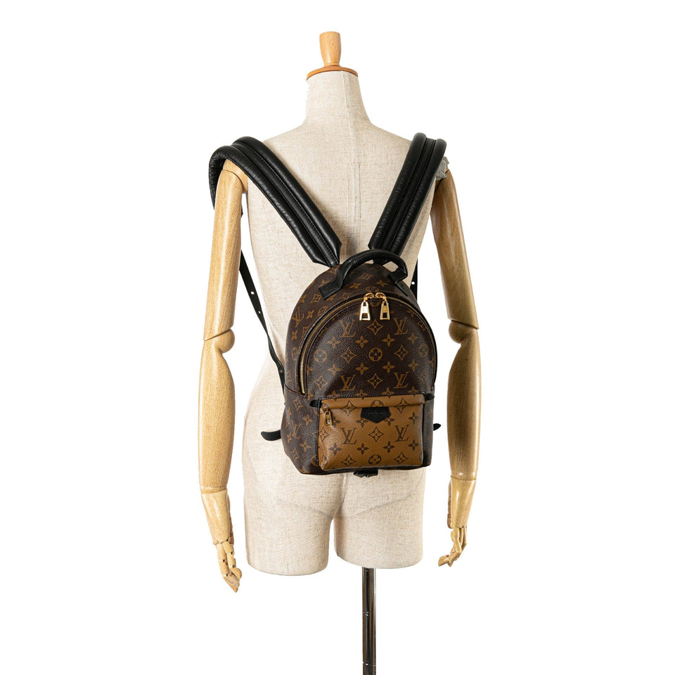 Brown Louis Vuitton Monogram Reverse Palm Springs PM Backpack