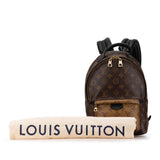 Brown Louis Vuitton Monogram Reverse Palm Springs PM Backpack