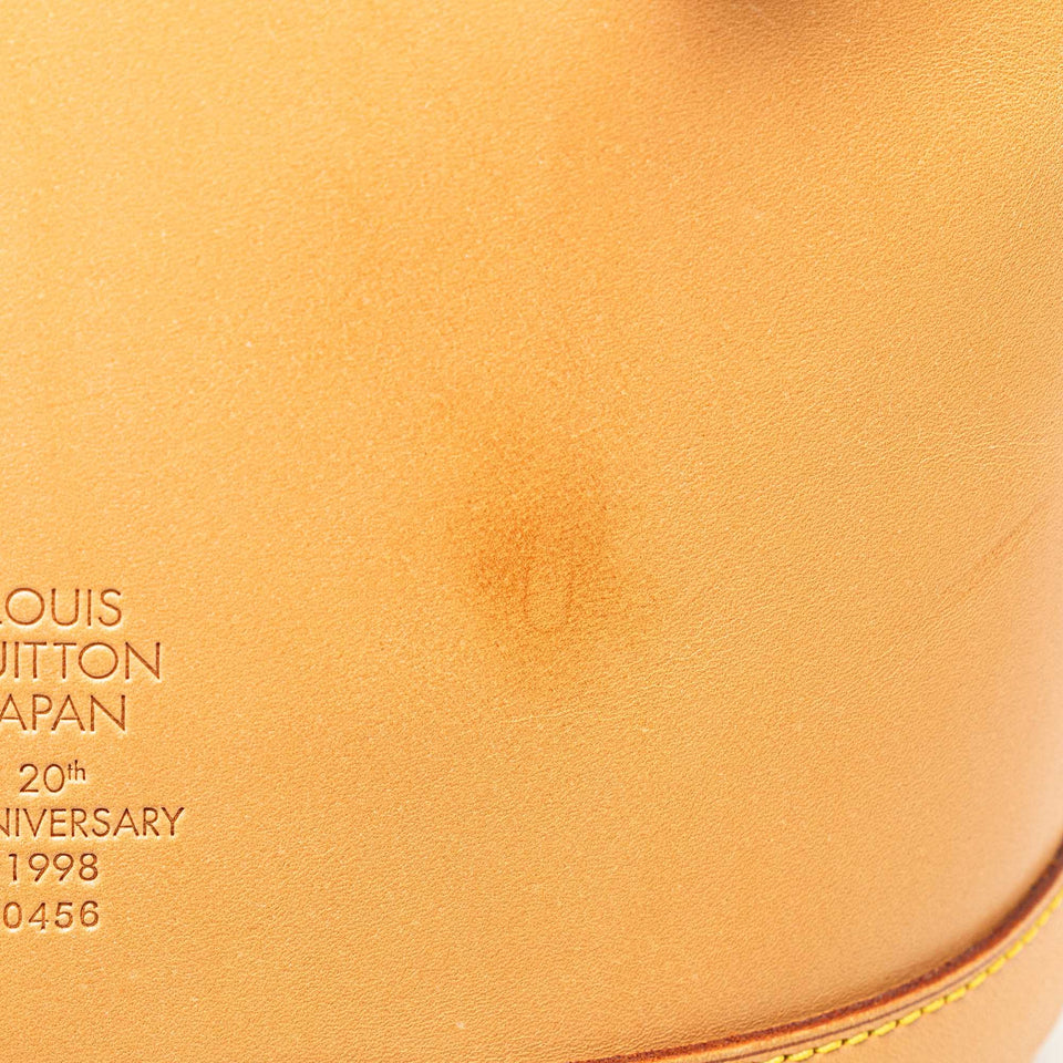 Brown Louis Vuitton Nomade Petit Bucket
