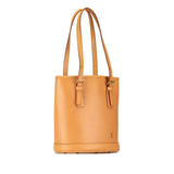 Brown Louis Vuitton Nomade Petit Bucket
