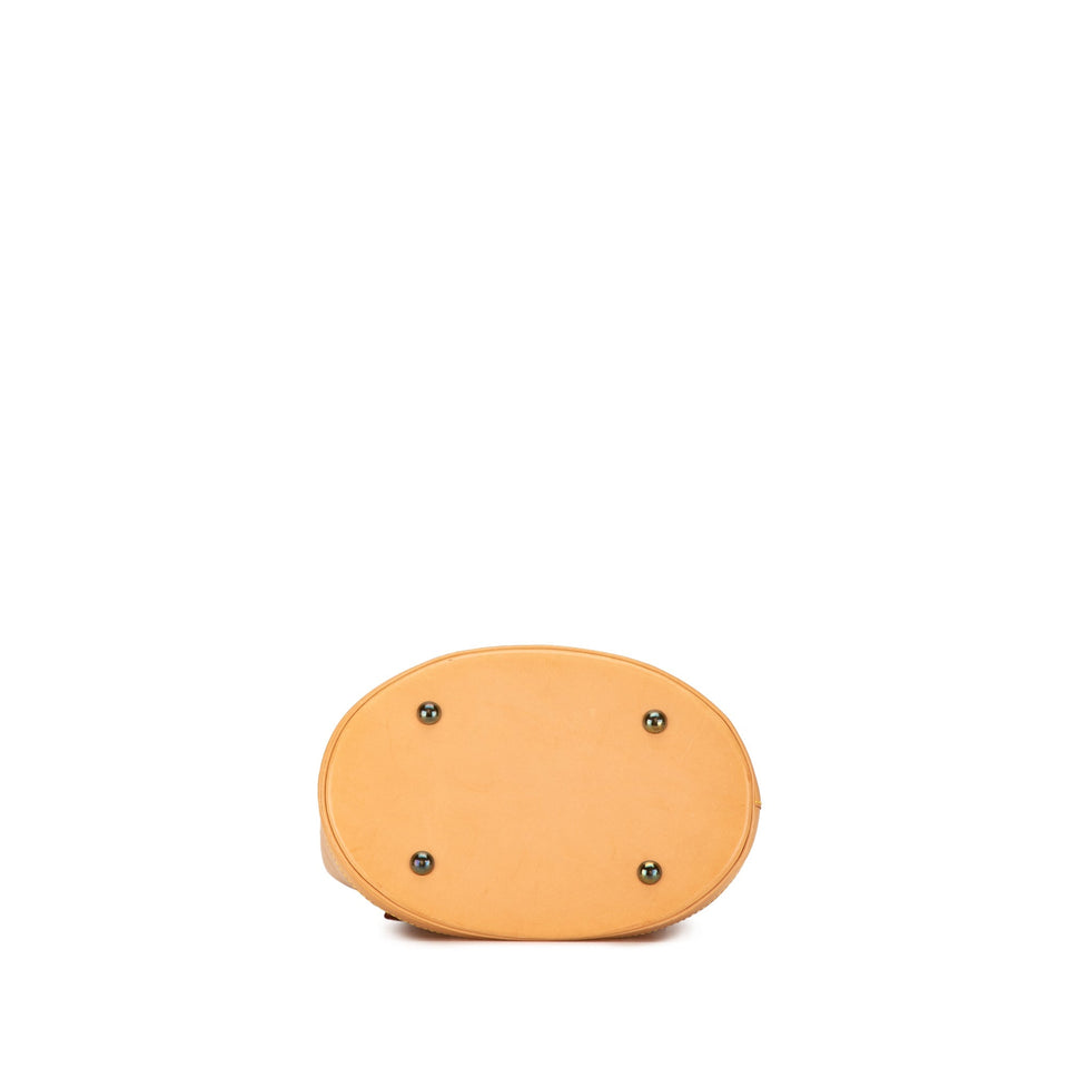 Brown Louis Vuitton Nomade Petit Bucket