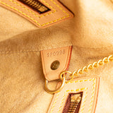 Brown Louis Vuitton Nomade Petit Bucket