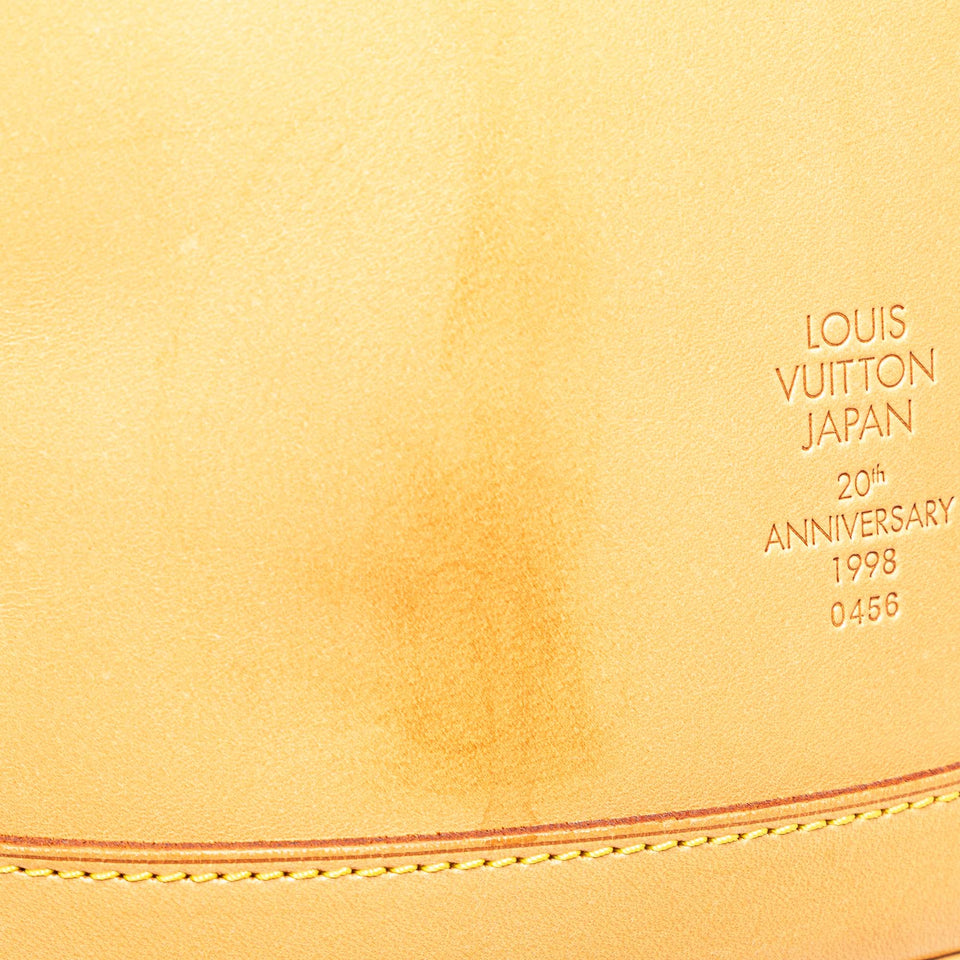 Brown Louis Vuitton Nomade Petit Bucket