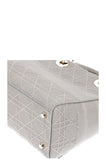 CHRISTIAN DIOR D-Lite Bag Medium Grey