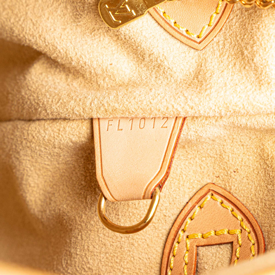 Brown Louis Vuitton Nomade Petit Bucket