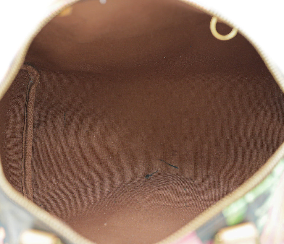 Louis Vuitton Monogram Mullticolor Stephen Sprouse Roses Speedy 30 Bag