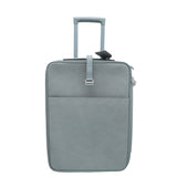 Louis Vuitton Glacier Grey Pegase 55 Bag