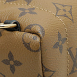 Louis Vuitton Monogram Reverse Palm Spring Mini Backpack Bag