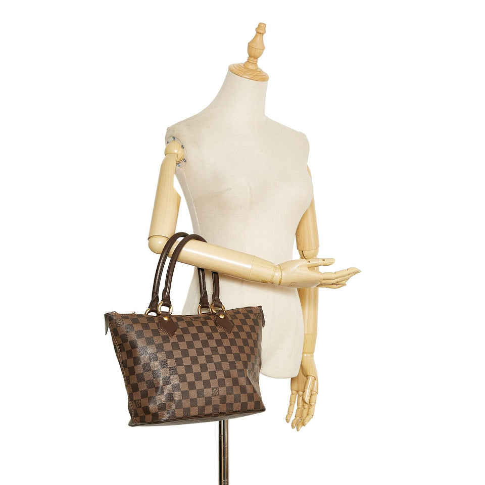 Louis Vuitton Damier Ebene Saleya PM (SHG-5iavZb)