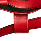 Louis Vuitton Epi Randonnee PM (SHG-37564)