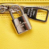 Louis Vuitton Haute Maroquinerie (SHG-34658)