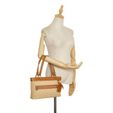 Louis Vuitton Mini Lin Lucille GM (SHG-36901)