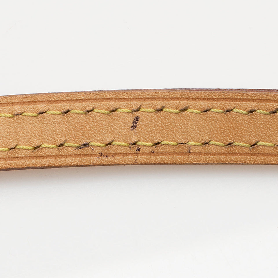 Louis Vuitton Monogram Canvas Eva Clutch (SHF-21136)