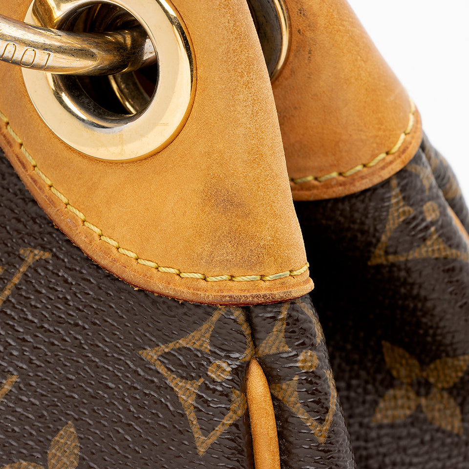 Louis Vuitton Monogram Canvas Galliera PM Shoulder Bag (SHF-20289)
