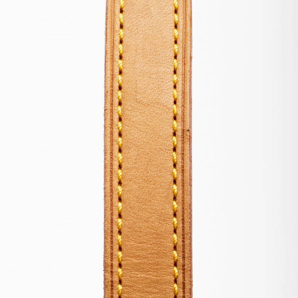 Louis Vuitton Monogram Canvas Musette Tango Shoulder Bag (SHF-17822)
