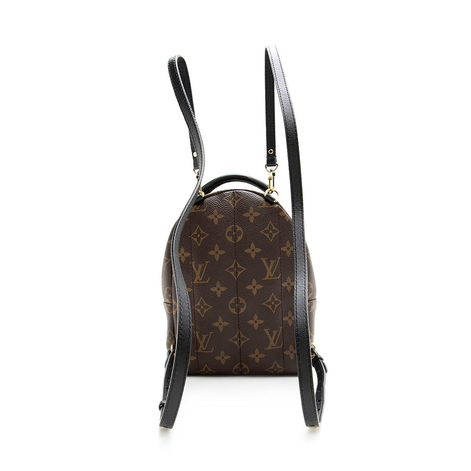 Louis Vuitton Monogram Canvas Palm Springs Mini Backpack (SHF-20573)