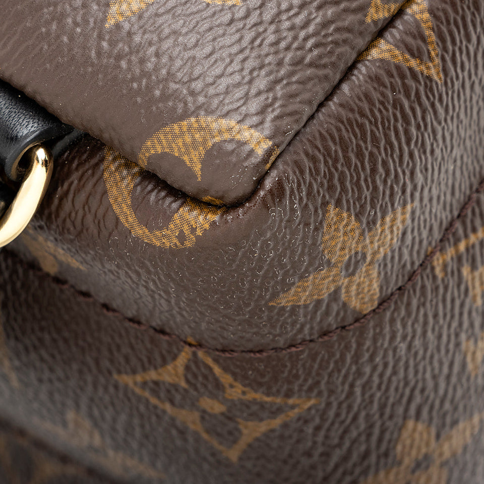 Louis Vuitton Monogram Canvas Palm Springs Mini Backpack (SHF-20573)