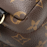 Louis Vuitton Monogram Canvas Palm Springs Mini Backpack (SHF-20573)