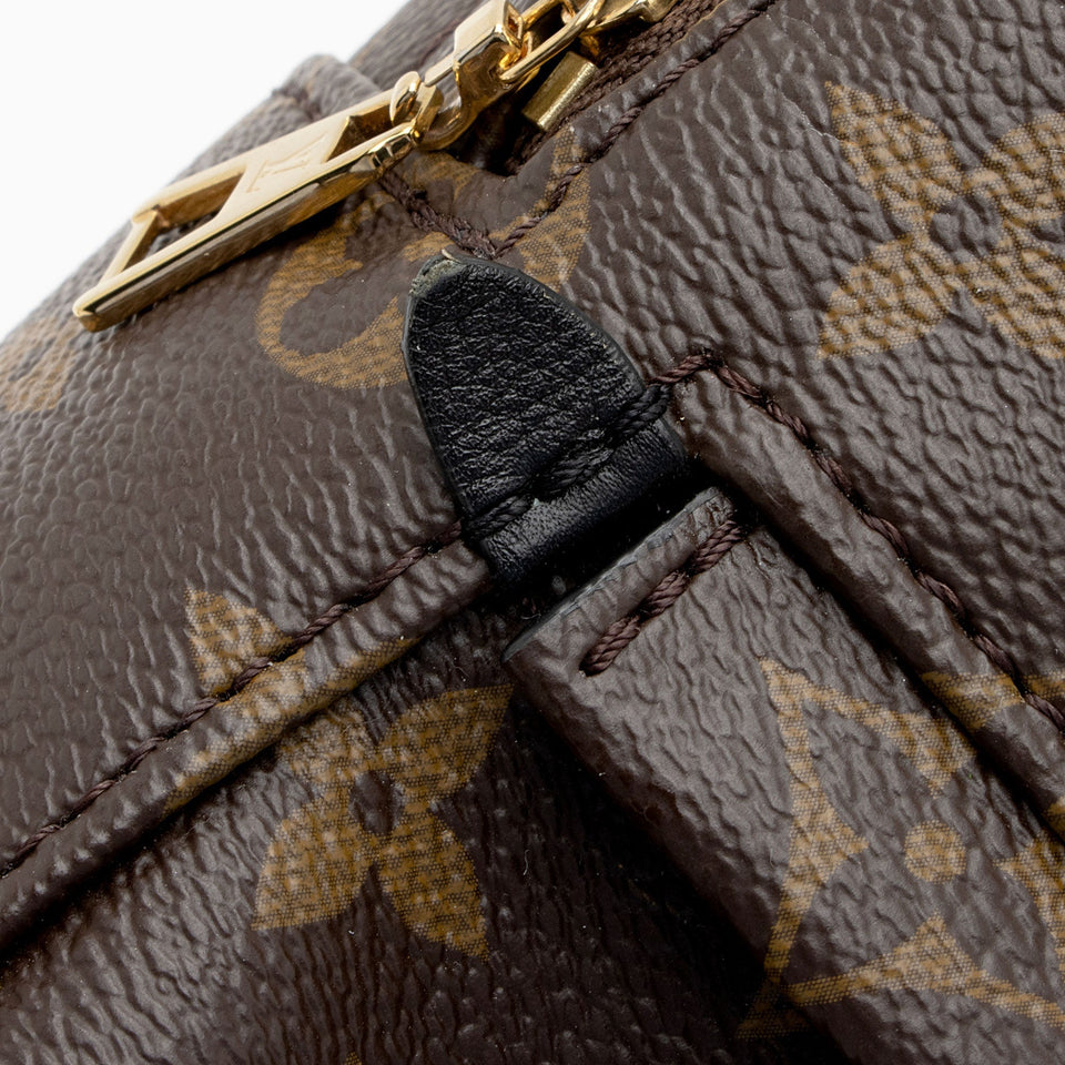 Louis Vuitton Monogram Canvas Palm Springs Mini Backpack (SHF-dPbIO8)