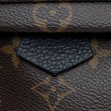 Louis Vuitton Monogram Canvas Palm Springs Mini Backpack (SHF-dPbIO8)