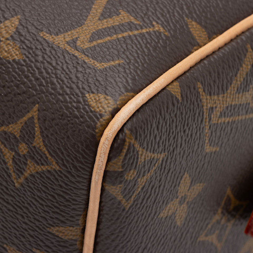 Louis Vuitton Monogram Canvas Speedy Bandouliere 20 Satchel (SHF-YSPdP5)