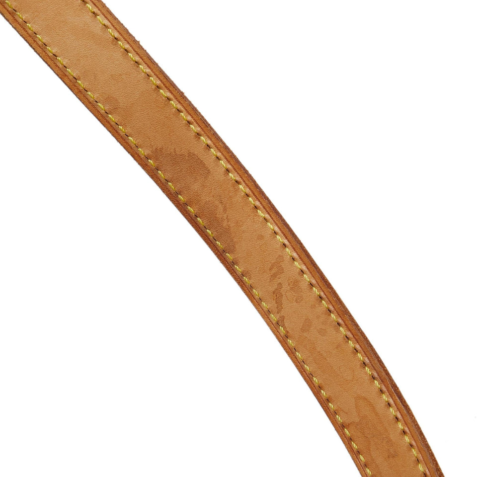 Louis Vuitton Monogram Ellipse GM (SHG-EodWD1)