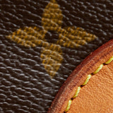 Louis Vuitton Monogram Nile (SHG-WSeZMS)
