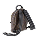Louis Vuitton Monogram Reverse Palm Springs PM (SHG-6OlUGm)