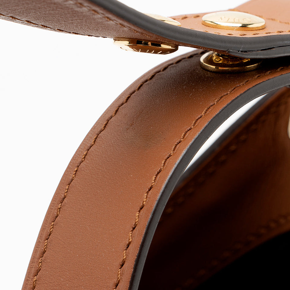Louis Vuitton Reverse Monogram Dauphine MM Hobo (SHF-21159)