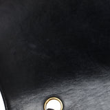 CHANEL Diana Flap Crossbody Bag