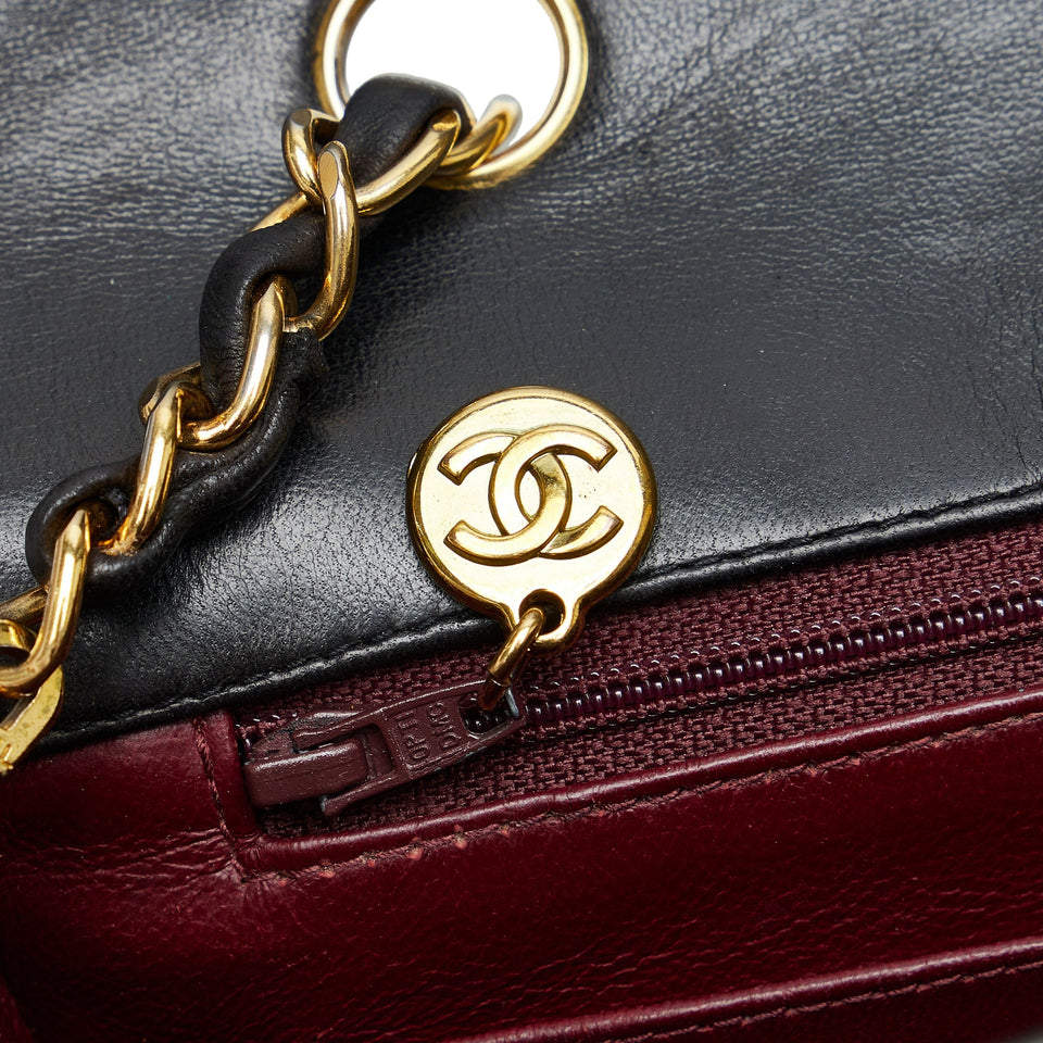CHANEL Diana Flap Crossbody Bag