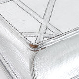 Diorama Metallic Leather Flap Bag