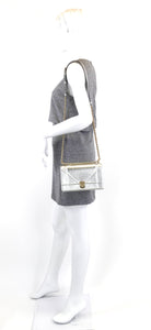 Diorama Metallic Leather Flap Bag