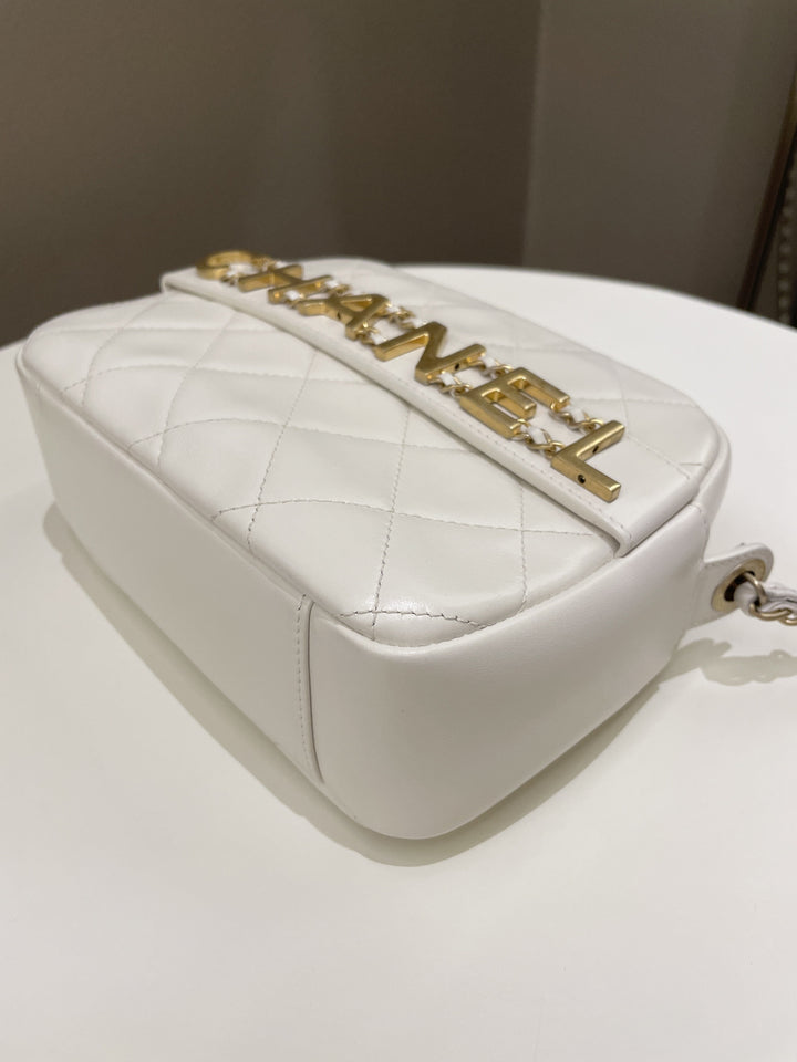 Chanel Quilted Enchained Camera Case Bag White Calfskin