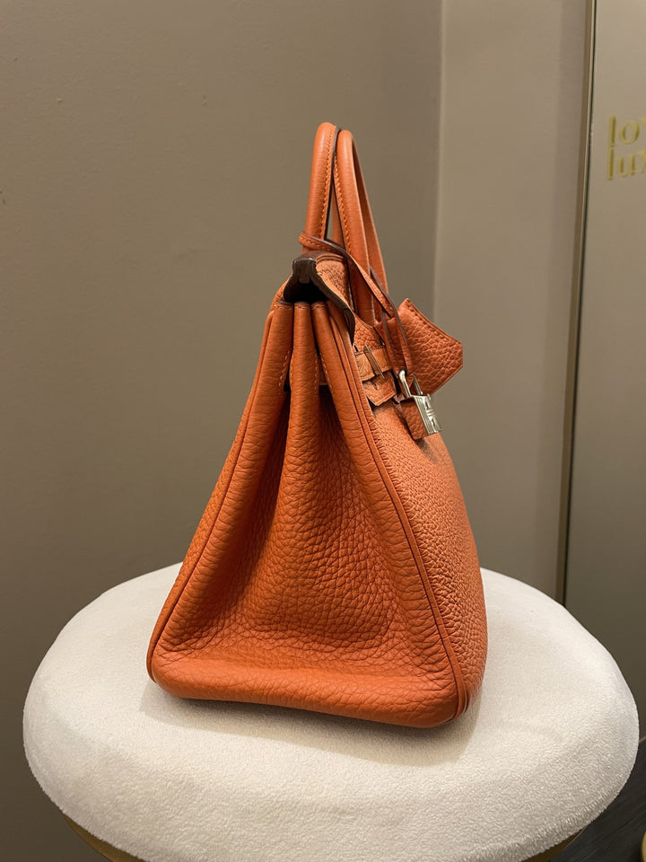 Hermes Birkin 25 Orange Togo