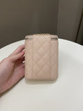 Chanel 21C Quilted Vanity Vertical Beige Caviar