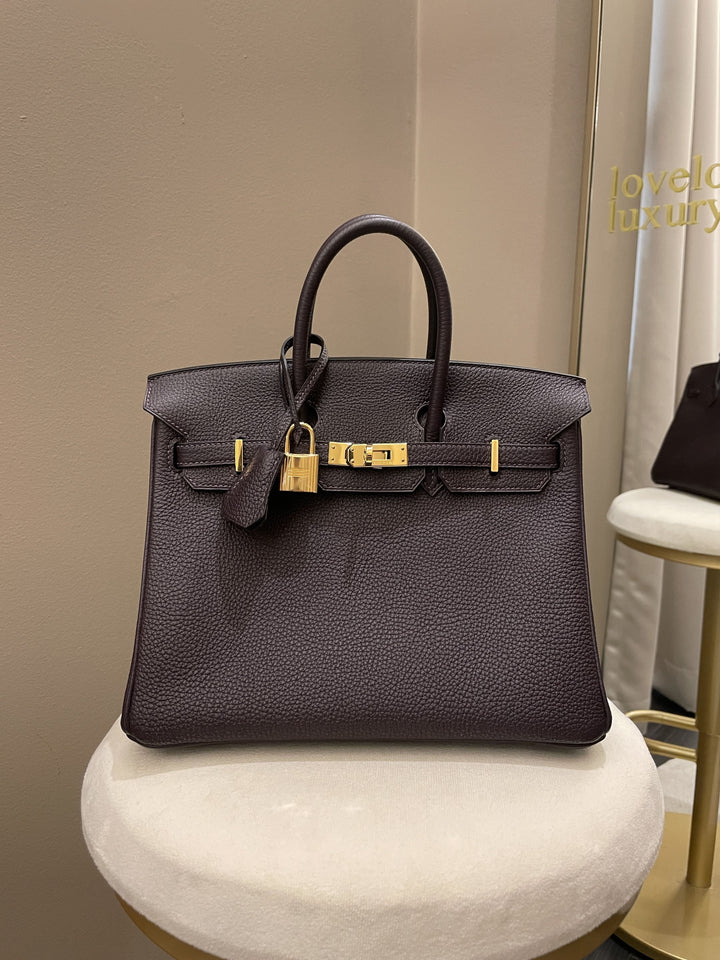 Hermes Birkin 25 Rasin Togo