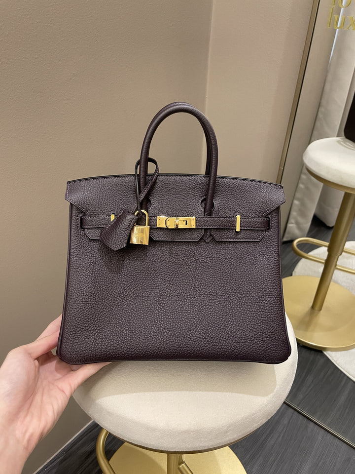 Hermes Birkin 25 Rasin Togo