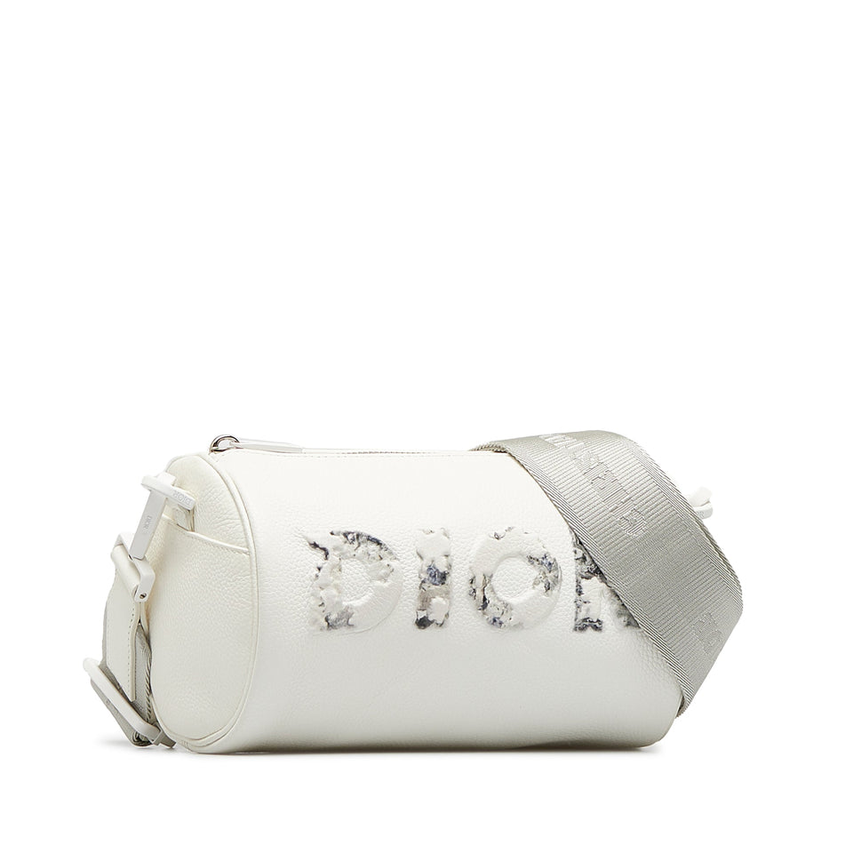 DIOR x Daniel Arsham Roller Bag