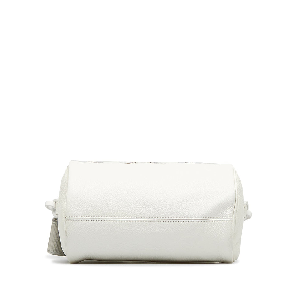 DIOR x Daniel Arsham Roller Bag