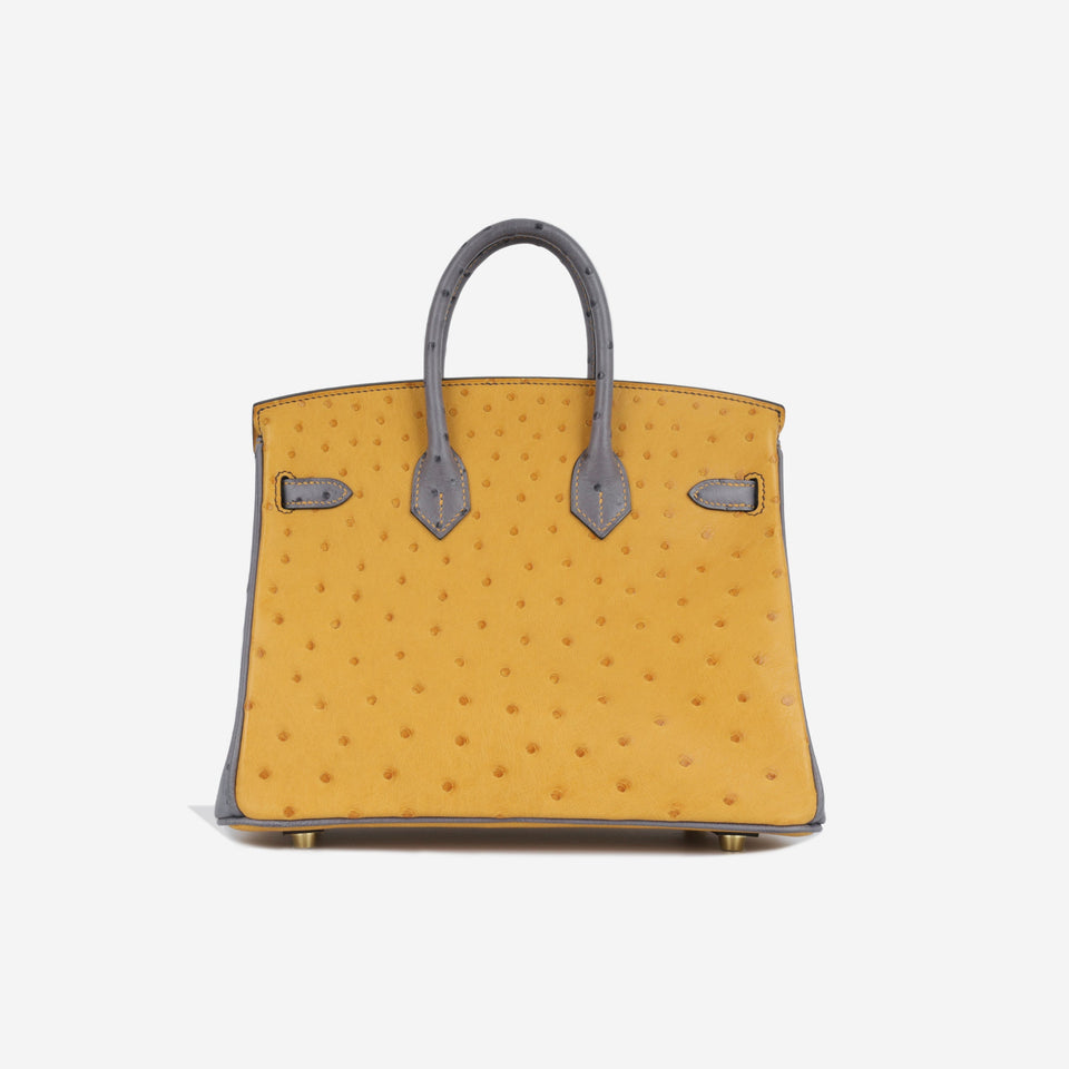 HSS Birkin 25 - Ostrich